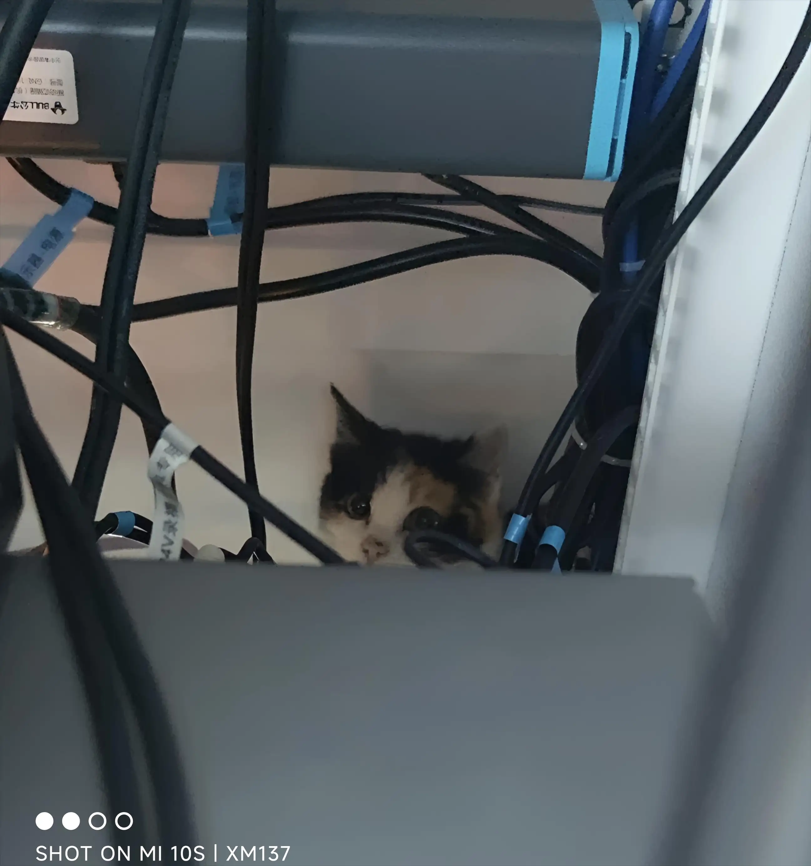 蚌院机柜哈基米